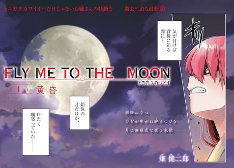 Fly Me to the Moon ES Cover Image