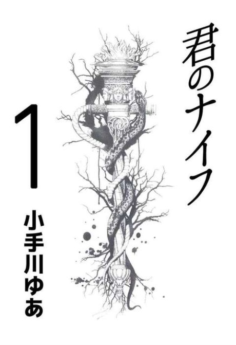 Kimi no Knife (1) DE Cover Image